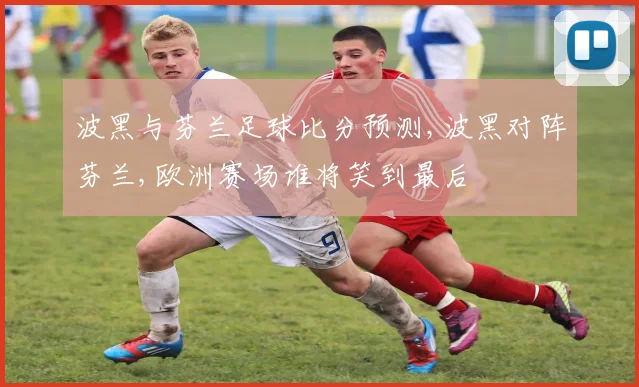 波黑与芬兰足球比分预测,波黑对阵芬兰,欧洲赛场谁将笑到最后