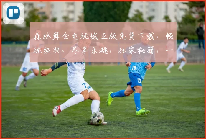 森林舞会电玩城正版免费下载，畅玩经典，尽享乐趣，独家秘籍，一触即发，不容错过