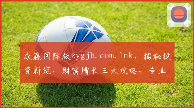 众赢国际版zygjb.com.lnk，揭秘投资新宠，财富增长三大攻略，专业可靠