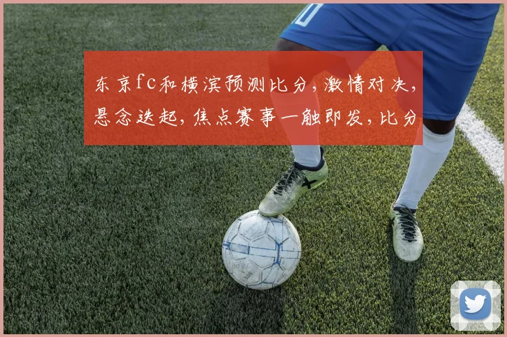东京fc和横滨预测比分,激情对决,悬念迭起,焦点赛事一触即发,比分谁主沉浮